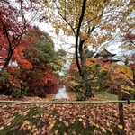 Soba Dokoro Kogin - 弘前公園のお堀