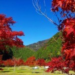 古民家お茶カフェ　山口屋 - 寸又峡古民家お茶カフェ山口屋 寸又峡手前公園[ミサワホームセラミック静岡支店編]