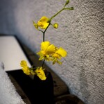 浅草 ひら山 - ✽ 花器を手に持ったら想像以上に重かった。この花なんだろう？蘭の一種かな。　黄色い花は石蕗やレンギョウが好き。