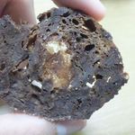 ワイ クニエダ - 2013.11. 裏（？）もたっぷり