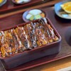 Unagi Fujikawa - 