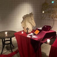 TOOTH TOOTH TOKYO - 