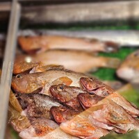 銀座　遠音近音 - 瀬戸内旬魚