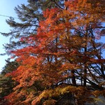 フランスベ－カリー - 