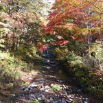 フランスベ－カリー - 