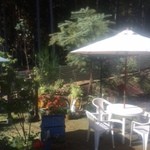 森のcafe - ベランダから