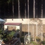 森のcafe - ベランダから