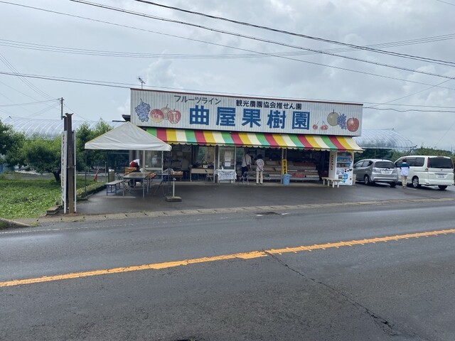 曲屋果樹園 - 平野（その他）の写真