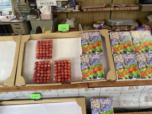 曲屋果樹園 - 平野（その他）の写真