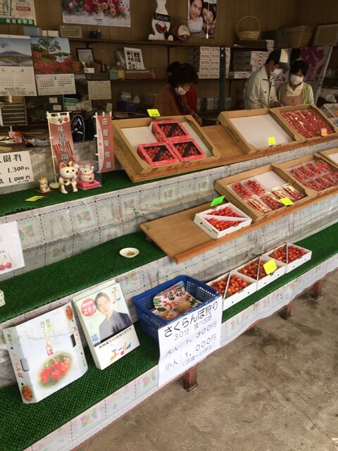 曲屋果樹園 - 平野（その他）の写真