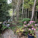 アルフォンソカフェ - 川