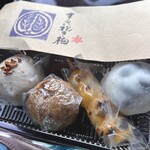 まるに抱き柏 - 