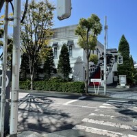 ツキ シュール ラメール - 