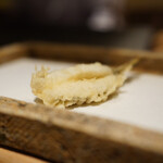 日本橋 蕎ノ字 - メゴチ