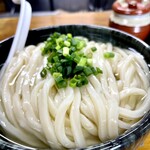 Sanshuu Teuchi Udon Garyuu - 