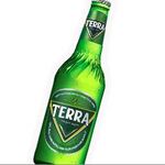 南韓人氣啤酒TERRA (Tera)