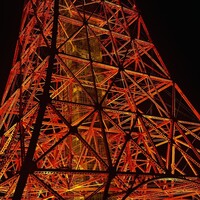 ワカヌイ グリル ダイニング バー 東京 - 