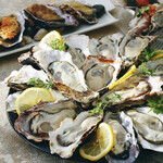 THE CAVE DE OYSTER - 