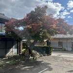 手打うどん 郁兵衛 - 