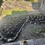 手打うどん 郁兵衛 - 