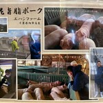 とんかつ 栄ちゃん - 