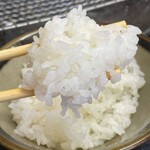 とんかつ 栄ちゃん - 最高の白米。