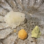 馳走 啐啄一十  - 江田島のオコゼ（２日寝かせ）