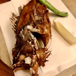 口コミ一覧 : こんねこんね - 五島市その他/居酒屋 [食べログ]