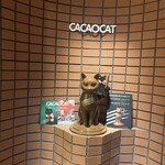 CACAOCAT - 可愛い入り口