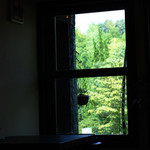 ピンチ オブ ソルト - 