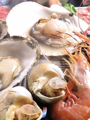 髭 北海道居酒屋 酔い処 - 旭川（海鮮）の写真