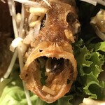 seasonal kitchen うみかじ - 