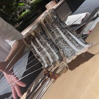 鮨shizuku 西天満 - 