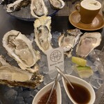 四ツ橋・新町 牡蠣と肉たらしビストロAKIRA - 