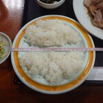 Famiri Resutoran Fuji Shokudou - 生姜焼T-SHOCK（定食）700円　お皿の直径20cm