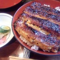 吉寅 - 