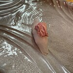 こうげん寿し - 