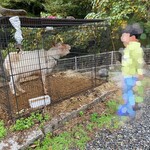 森のpizza Lodge - 外観_2023年11月