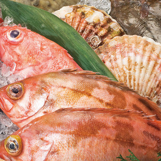 北海道の漁港より新鮮魚介を直送、北海道各ファームより野菜直送