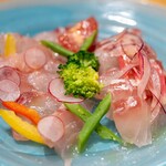 エミリア - 2023.11 本日の鮮魚のカルパッチョ（1,800円）真鯛、チヌ