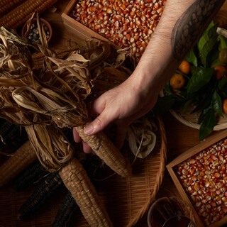 Beautiful from the inside out with the power of [Traditional Mexican] Medicinal Food that are vivid to the eye