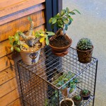 ヤマカスタンド - 