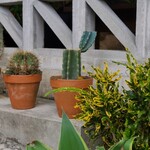 ヤマカスタンド - 