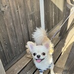 ゆふいんバーガーハウス - 