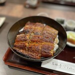 Unagi Kappou Mikawa Sansuitei - 