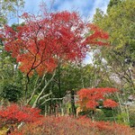 有馬グランドホテル - 