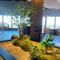 YORIMICHI Odaiba - 