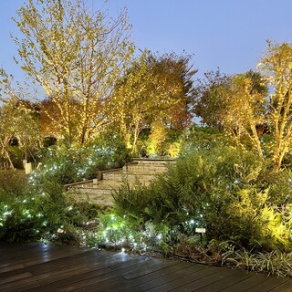 セストセンソ_2