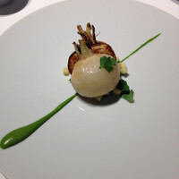 レフェルヴェソンス - 