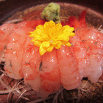 寺喜屋 - 甘エビ刺身￥１２００